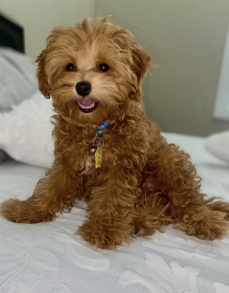 Lucy